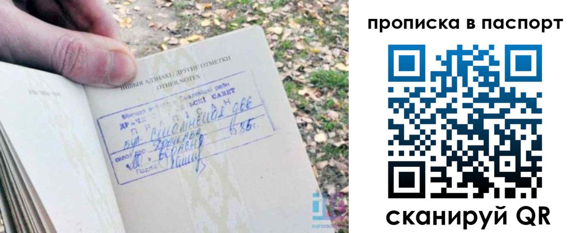 купить прописку в Коле